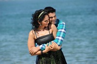 Pani Thuli Tamil Movie Stills